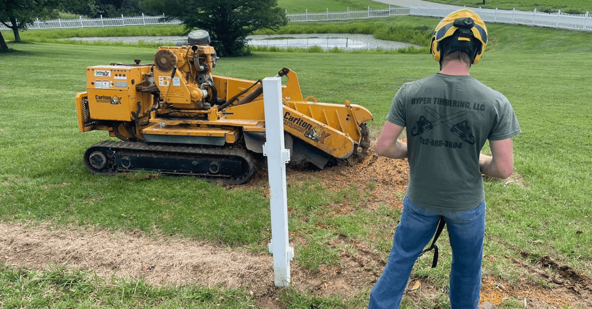 stump grinding and removal near me