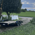 emergency tree removal