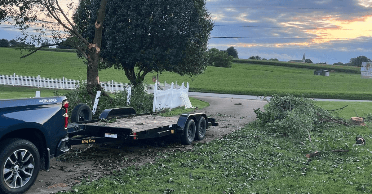 emergency tree removal