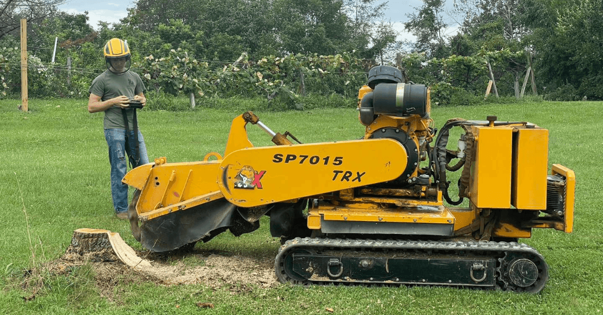 stump grinding