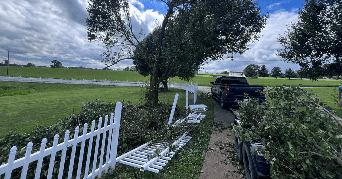 emergency tree service