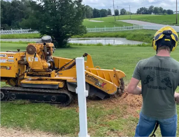 Commercial Tree Service